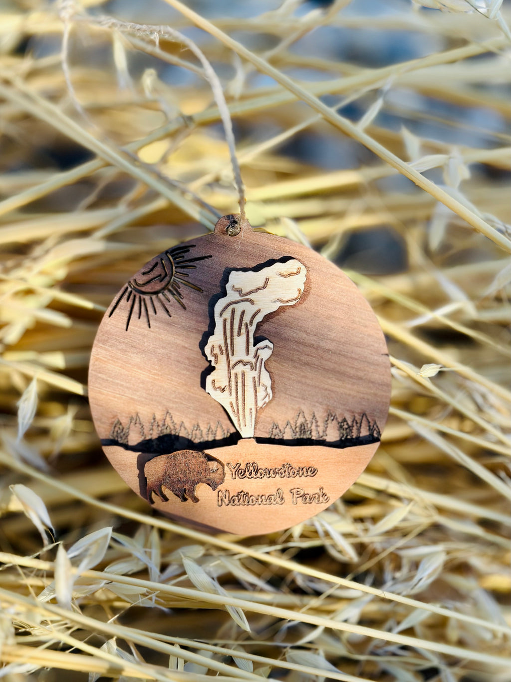 Yellowstone National Park: Old Faithful